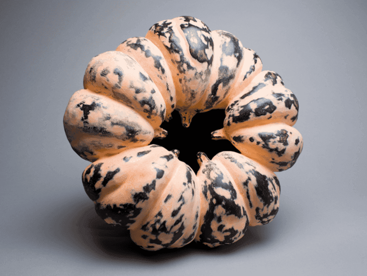medium_Contemporary Japanese Ceramics.png